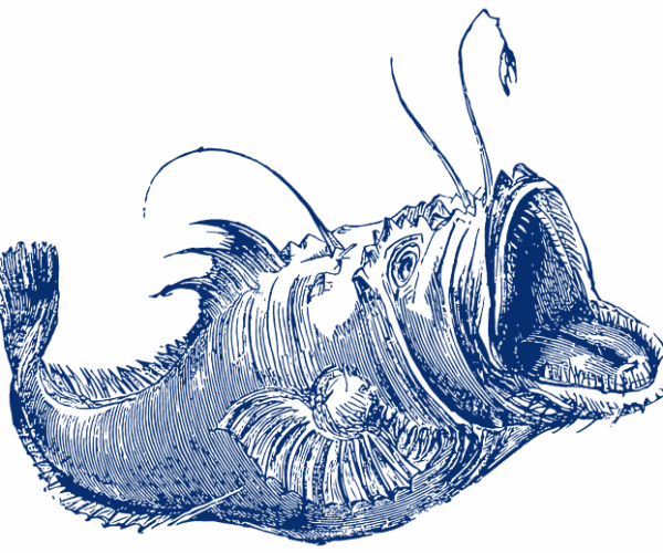 fish-icon-1.png